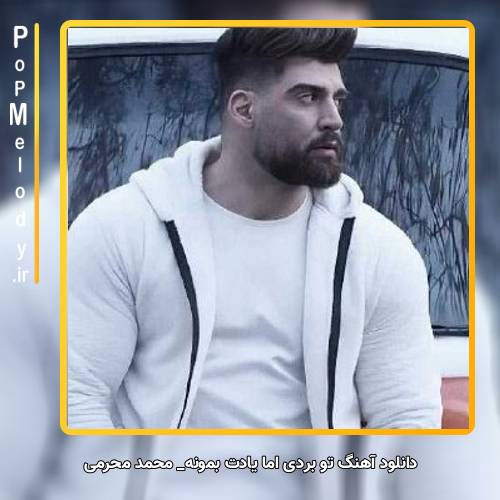 دانلود آهنگ محمد محرمی تو بردی اما یادت بمونه خدا کشتی میده به دلی که دریاست